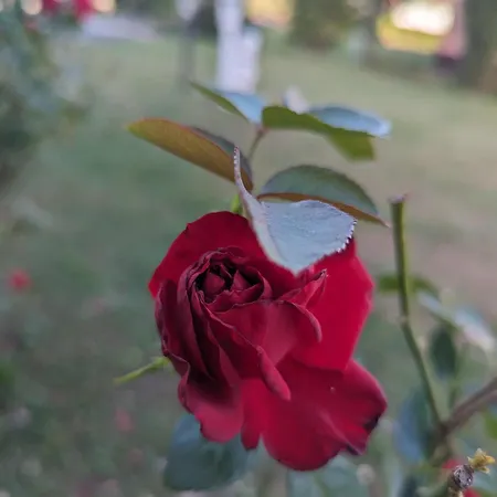 Apartment Herbert Galambok