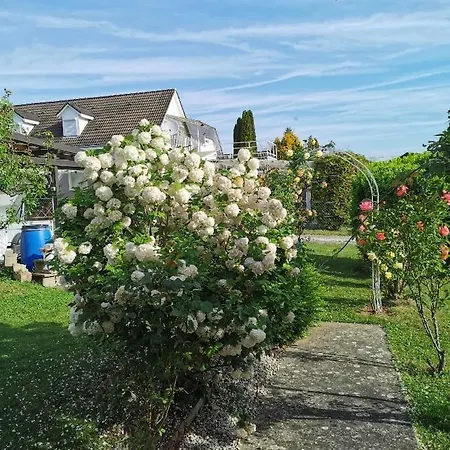 Apartamento Herbert *